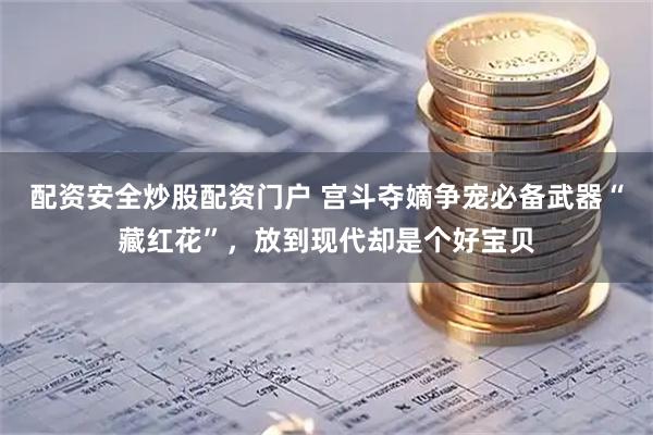 配资安全炒股配资门户 宫斗夺嫡争宠必备武器“藏红花”，放到现代却是个好宝贝
